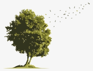No Buses For Arbol Acuarela - Oak #2726701
