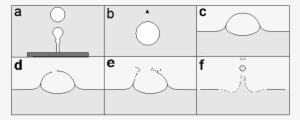 Schematic Example Of Bubble Formation , Rise (b) - Bubble #2726993