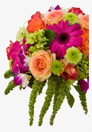 Aboutus - Enclosure Card - Birthday Flowers (50ct) #2728187