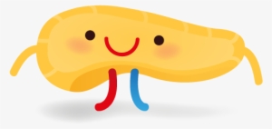 Un Páncreas Feliz Es Un Páncreas Sano - Pancreas Dibujo Png #2728188