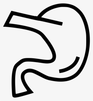 Pancreas Anatomy Organ Comments - Body Parts Stomach Drawing #2728299