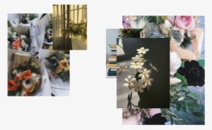 Worm Shop-15 - Portable Network Graphics #2728319