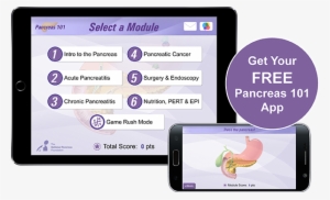 Available For Ipad, Iphone And Android - Pancreas #2728815