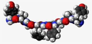 Biphalin Molecule Spacefill - Ghrelin Space Filling Molecule #2728930