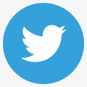 Twitter Feed - Twitter Icon Grey Circle #2730561