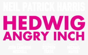 Neil Patrick Harris In Hedwig And The Angry Inch On - Series Of Unfortunate Events Librarian #2730766