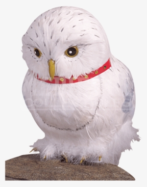 Hedwig The Owl Prop - Harry Potter Hedwig Owl Prop #2730788