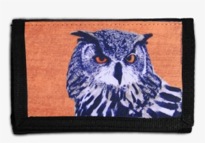 Purse Xxs Owl Hedwig - Eagle Owl #2730792