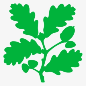 Lindisfarne Castle - National Trust Logo Png #2731176