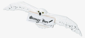 1 Of - Harry Potter Hedwig #2731290