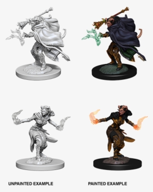 D&d Nolzurs Marvelous Miniatures Female Tiefling Warlock #2731998