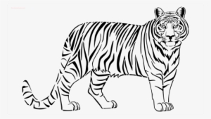 Tiger Stencil - Tiger Clip Art #2732276