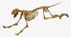 Were-panther Skeleton 2 Dxc - Wiki #2733137