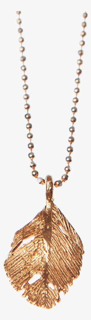 Aurum Rose Raven Feather Pendant - Wrinkle In Time Jewelry #2733697