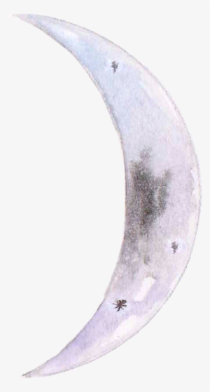 Moon Waxing - Celestron Xlt Optical Tube Assembly #2733737