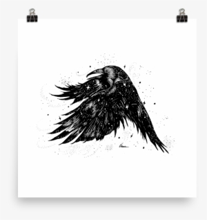 Starry Raven #2733795