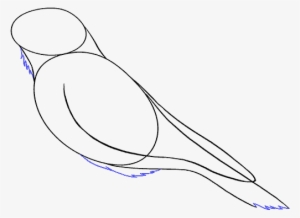 How To Draw Raven - Sketch #2733864