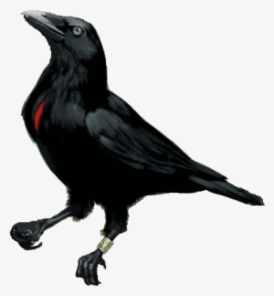 Blood-feather Raven - Pin Feather #2734052