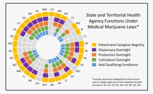 State And Territorial Health Agency Functions Under - Health #2735534