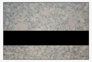 Ipi Architectural Stones Matte Glacier Blush Marble/black - Poster #2735751