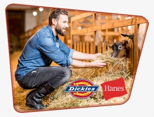 Hanes/dickies Clothing - Freng Dickies Apparell J0188 Samsung Galaxy Note 8 #2736595