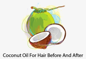 Coconut Oil For Hair Before And After Logo - Coconut Oil Logo #2738647