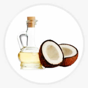 Pure Coconut Oil #2738702