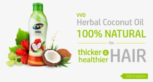 Herbal Coconut Hair Oil - Vvd Coconut Hair Oil #2738746