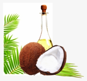 #1 Must Have In Every Home - Coconut Oil: The Amazing Coconut Oil Miracles: Simple #2738947