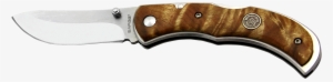 Sarge Knives Sk-424 Single Blade Lock Back Semi Skinner #2739097