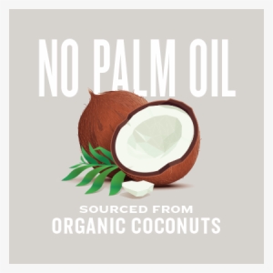 Natural Force Mct Oil Contains No Palm Oil And Is Sourced - Coconut Oil Illustration #2739098