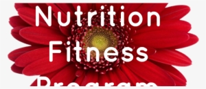 Web Page Fit Nut Button - Flower #2741276