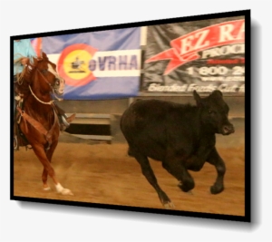 Oct 13 14 2018 Fall Gathering - Horse #2741730