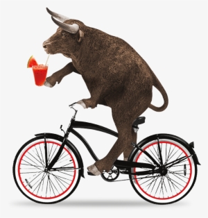 Bull Riding Beach Cruiser Stock Transfer - Bull #2741732
