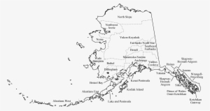 We Started The Monitoring Of Picea Marinana Forest - White Forest Alaska #2742846