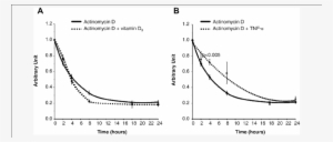 Rankl2 Protein Stability/half-life Modulation In 293rankl2 - Protein #2742982
