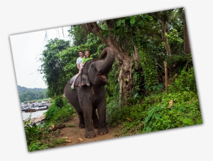 A & R Block Travel Ltd - Honeymoon #2743231