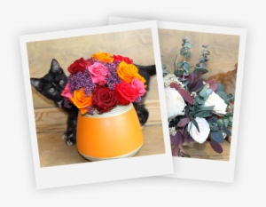 Get Social With Magic Flowers - Social Media #2743398