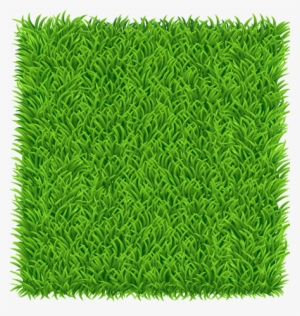 Block Bookings £5 Per Session / Daily Drop Offs £6 - Grass Square Png #2743757