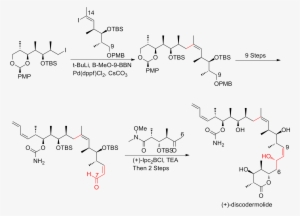 The Novartis 60 G Total Synthesis Of Discodermolide - +- Discodermolide #2744397