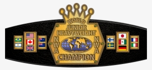 Nwa World Junior Heavyweight Championship - Nwa World Heavyweight Championship #2746954