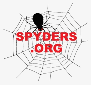 Button6-nwa Spydersorg - Spider In Web Drawing #2747270
