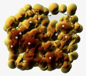 Directed Trigonometric Kernel Density Estimation Of - Illustration #2748648