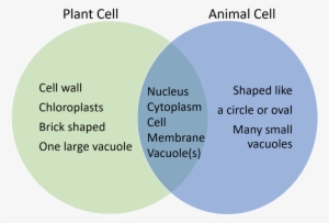 Circle #2749386 Circle #2749386