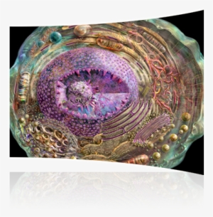 Studyjams Science - Animal Cell By Kightleys - Customized Wallpaper Patterns #2749490