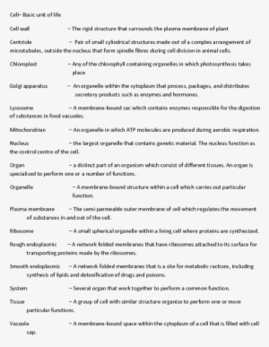 Cell Basic Unit Of Lifecell Wall The Rigid Structure - Document #2749556