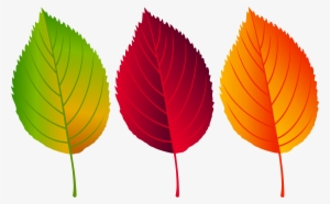 Fall Leaves Png Clip Art Image, Is Available For Free - Illustration #2751240