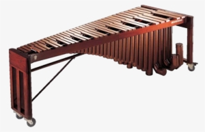 De Xylofoon En De Marimba Zijn Familieleden Van De #2751337