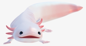 Axolotl Png - Transparent Axolotl Png #2752028