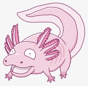 This Pokemon Sums Up The Axolotl - Axolotl Pokemon #2752119